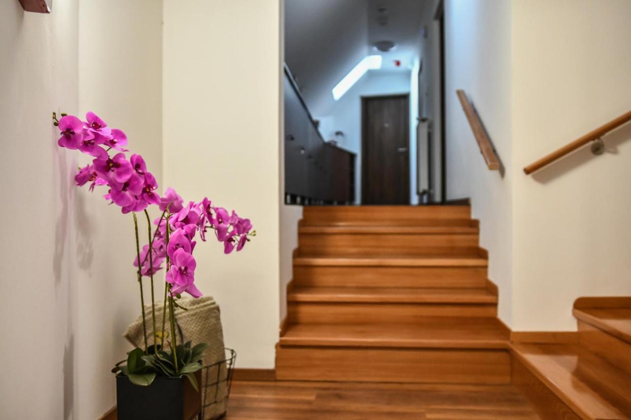 E-Vasko Panzio Borpince Bed & Breakfast Tokaj Luaran gambar